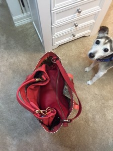 I put two nested two handbags in this tote. Even Charley was amazed!